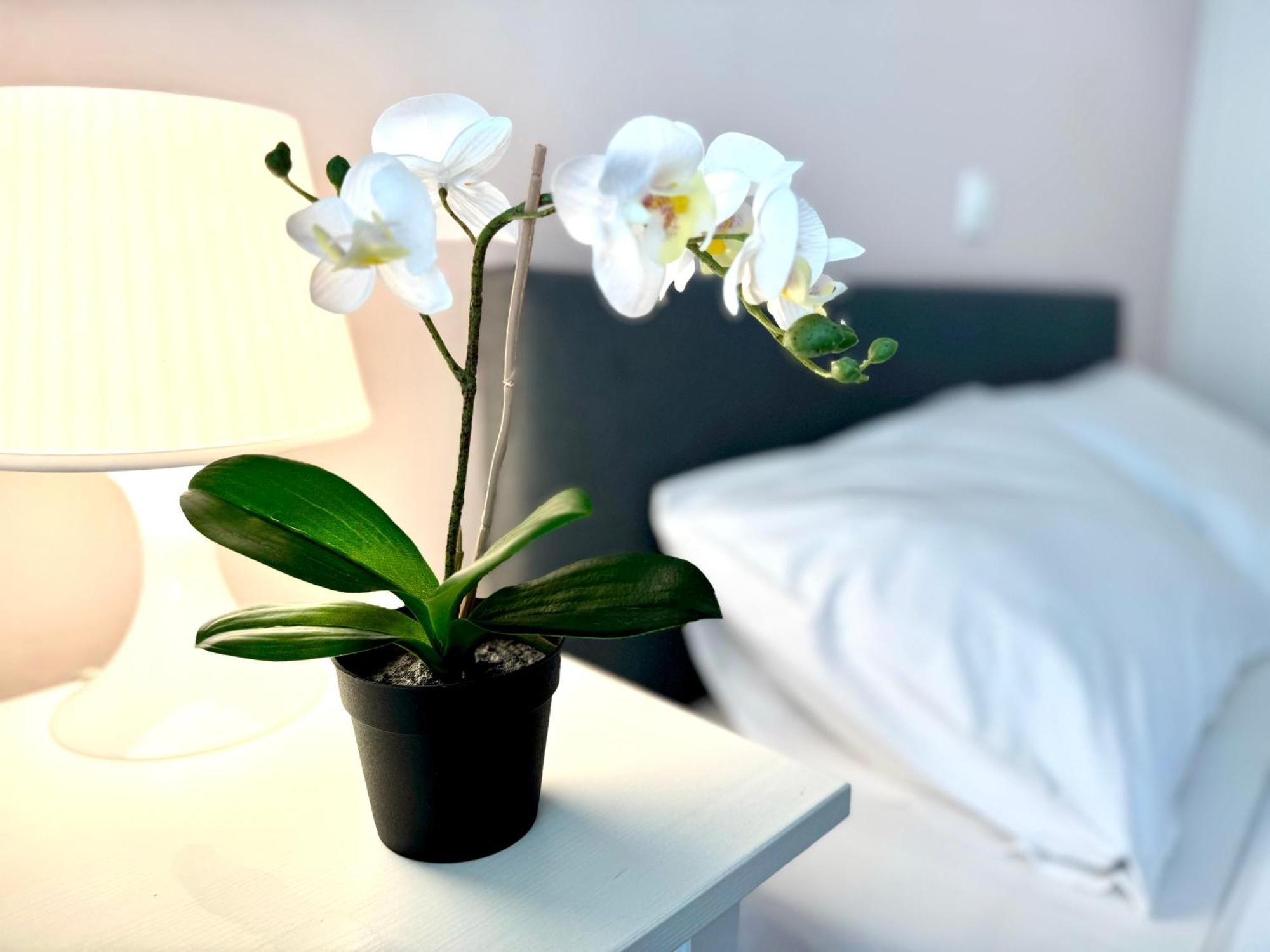 אנביסוס Sun Beach Apartment מראה חיצוני תמונה